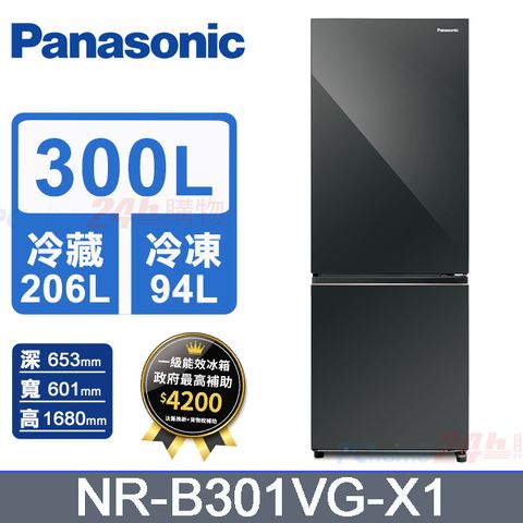 Panasonic 國際牌 300公升一級能效雙門變頻冰箱(NR-B301VG-X1)