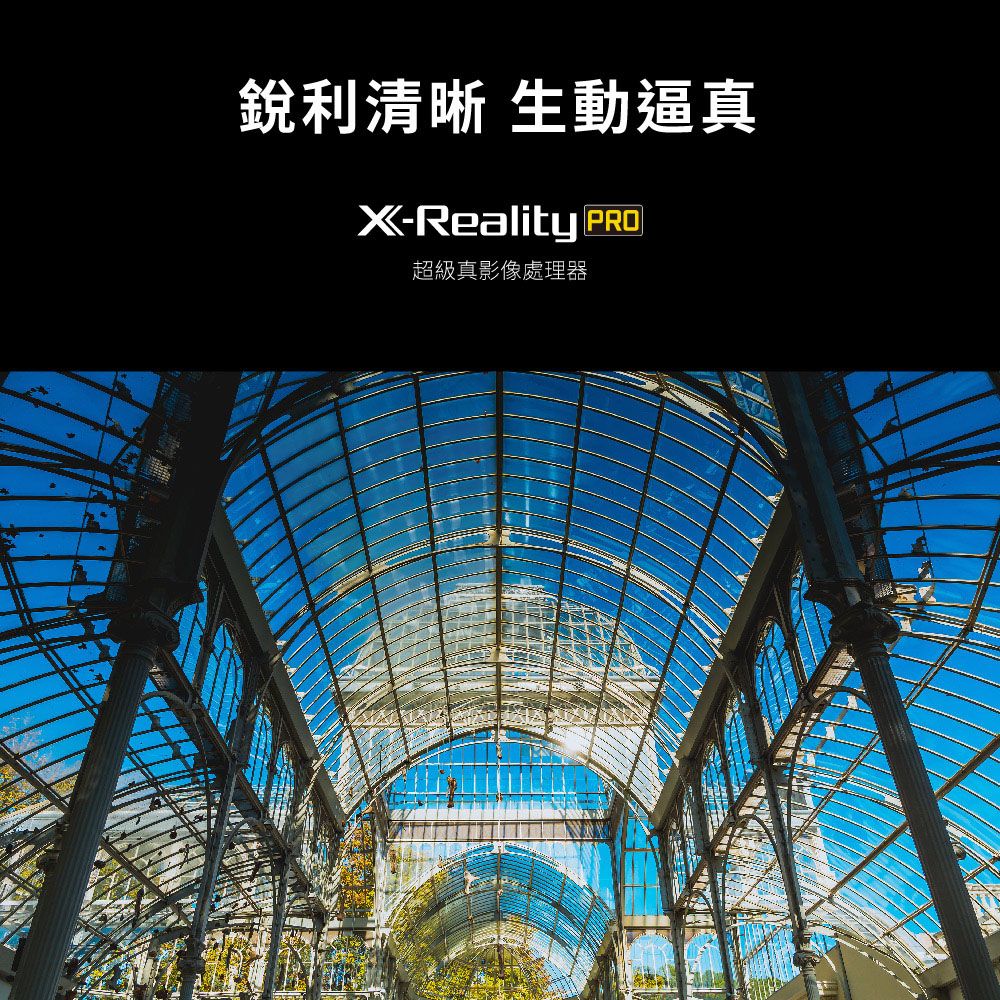 銳利清晰 生動逼真X-Reality PRO超級真影像處理器