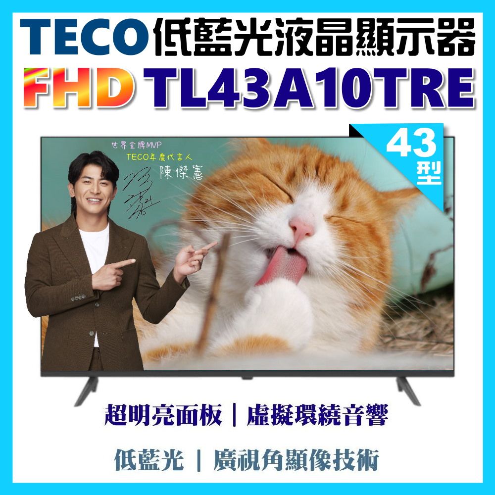 TECO 東元 43型FHD低藍光液晶顯示器(TL43A10TRE)