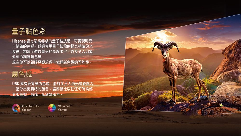 量子點色彩Hisense 擁有最高等級的量子點技術可實現明亮、精確的色彩透過使用量子點發射極其精確的光波長創造了難以置信的亮度水平以及令人印象深刻的顯著顏色量現在你可以親眼見證超過十億種新色調的可能性。廣色域U6K 擁有更寬廣的色域,能夠在更大的光譜範圍內,區分出更獨特的顏色,讓屏幕比以往任何時候都更加生動、精確、充滿鮮活力。Quantum DotColourWide ColorGamut