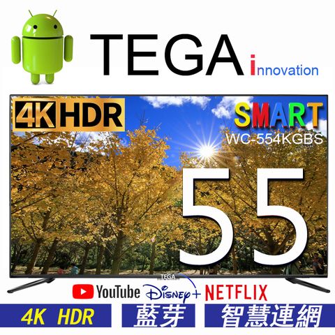 TEGA 55吋 4K HDR 智慧連網液晶顯示器 ( SMART TV ) WC-554KGBS