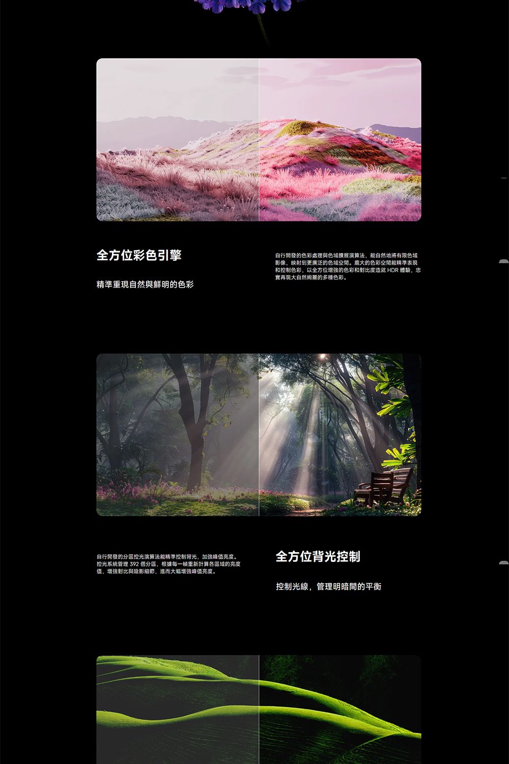 全方位彩色引擎精準重現自然與鮮明的色彩自行開發的色彩處理與色域擴展能自然地將有限色域影像,映射到更廣泛的色域空間。龐大的色彩空間能精準表現和控制色彩,以全方位增強的色彩和對比度造就 HDR 體驗,忠實再現大自然絢麗的多種色彩。自行開發的分區控光演算法能精準控制背光,加強峰值亮度。控光系統管理 392個分區,根據每一重新計算各區域的亮度值,增強對比與陰影細節,進而大幅增強峰值亮度。全方位背光控制控制光線,管理明暗間的平衡