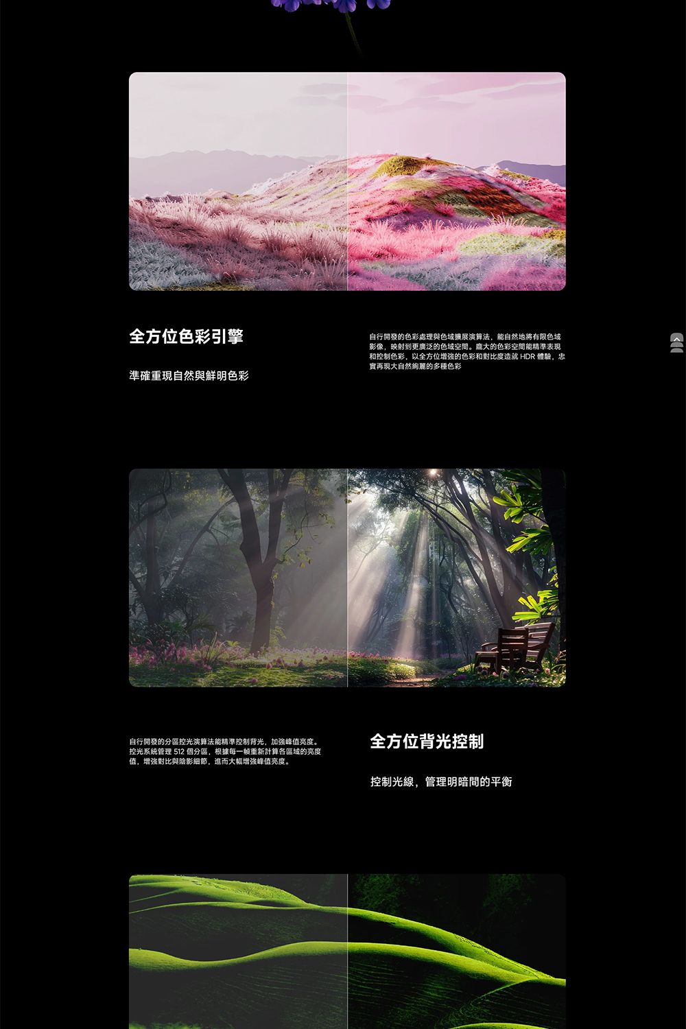 全方位色彩引擎準確重現自然與鮮明色彩自行開發的色彩處理與色域擴展演算法,能自然地將有限色域影像,映射到更廣泛的色域空間。龐大的色彩空間能精準表現和控制色彩,以全方位增強的色彩和對比度造就 HDR 體驗,忠再現大自然的多種色彩自行開發的分區控光演算法能精準控制背光,加強峰值亮度。控光系統管理 512 個分區,根據每一幀重新計算各區域的亮度值,增強對比與陰影細節,進而大幅增強峰值亮度。全方位背光控制控制光線,管理明暗間的平衡