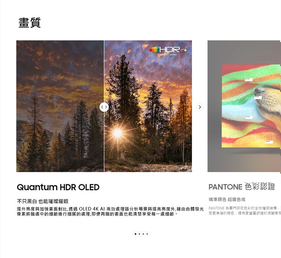 畫質 +Quantum HDR OLEDPANTONE 色彩認證不只黑白 也能璀璨耀眼精準色 超廣色域提升亮度與加強對比,透過 OLED 4K AI 高效處理器分析場景與提高亮度外,藉由自體發光 PANTONE 為專門研究色彩的全球權威機構像素將暗處中的細節進行細膩的處理,即便再暗的畫面也能清楚享受每一處細節。受更準確的顏色,擁有舒適的視覺享受