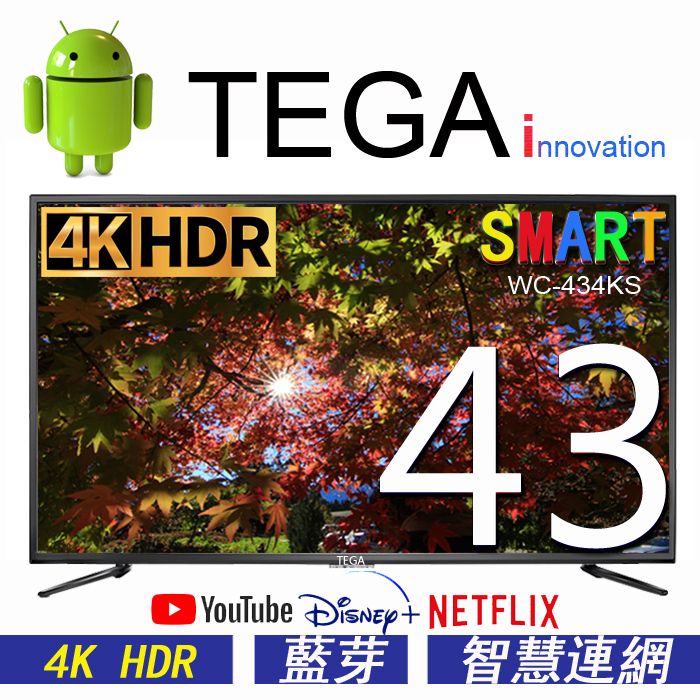  TEGA 43吋 4K 智慧連網液晶顯示器 ( SMART TV ) WC-434KS