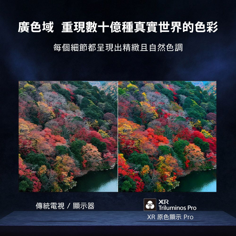 SONY 索尼 BRAVIA 8 55型 XR OLED 4K HDR Google TV顯示器 Y-55XR80