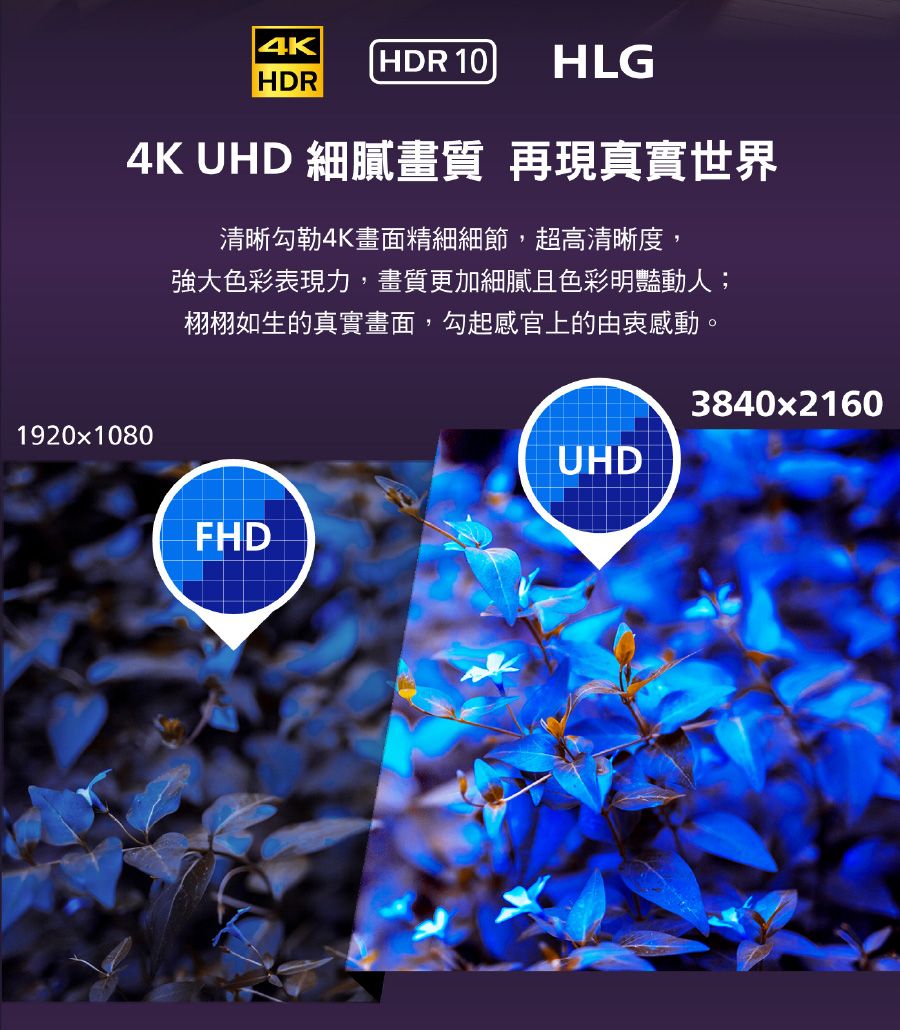 4KHDR 10 HLGHDR4K UHD 細膩畫質 再現真實世界清晰勾勒4K畫面精細細節,超高清晰度,強大色彩表現力,畫質更加細膩且色彩明豔動人;栩栩如生的真實畫面,勾起感官上的由衷感動。1920x1080FHD3840x2160UHD