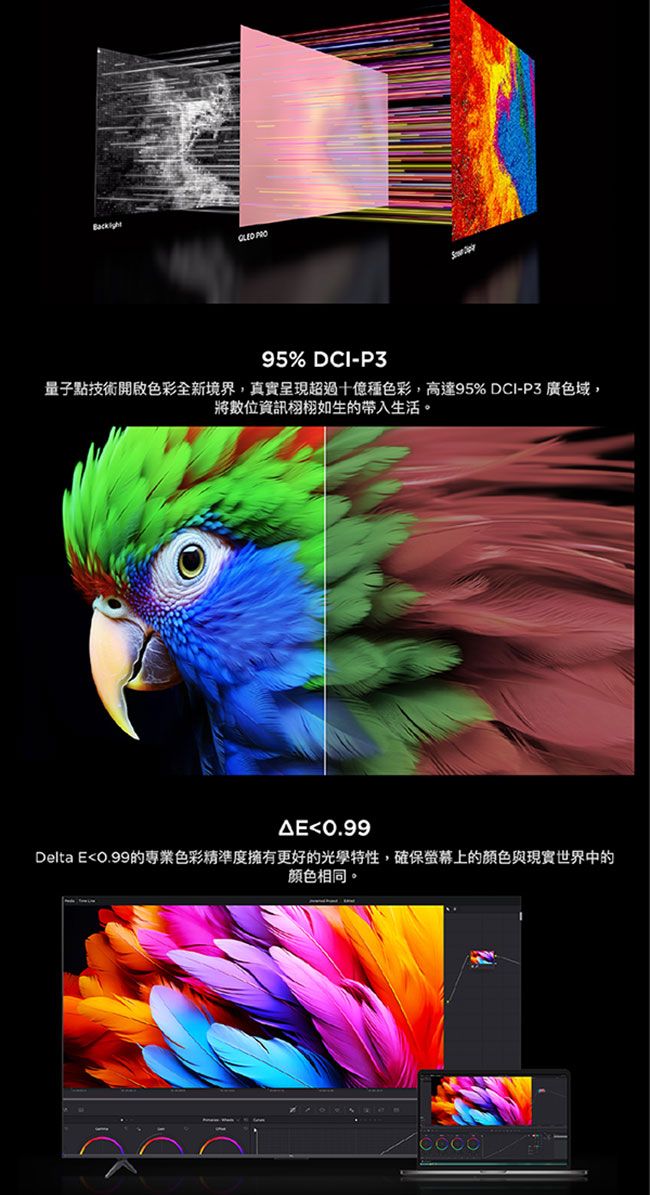 TCL 55C69B - 詳情4