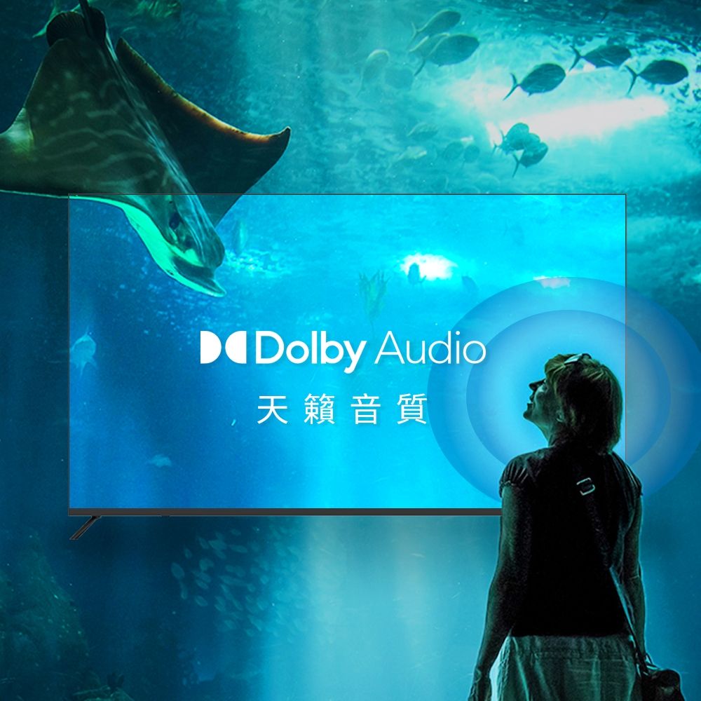 Dolby Audio天籟音質