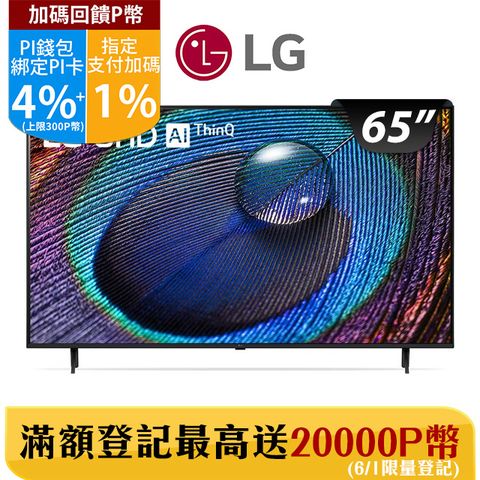 LG 65吋UHD 4K AI語音物聯網電視65UR9050PSK