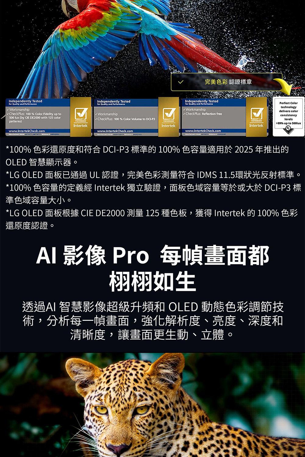 LG樂金 OLED48C5PTA - 詳情5