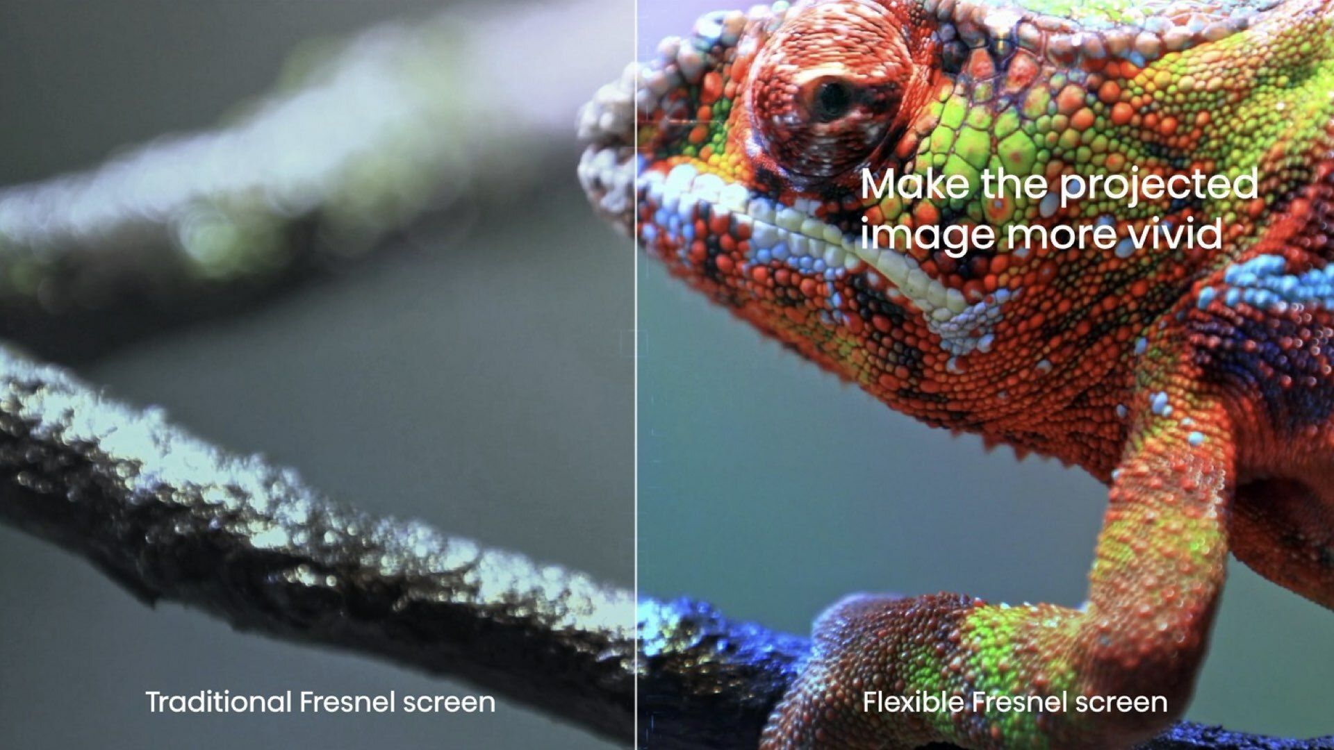 Make the projectedimage more vividTraditional Fresnel screenFlexible Fresnel screen