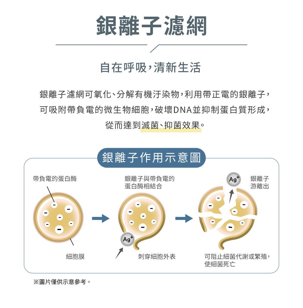 銀離子濾網自在呼吸,清新生活銀離子濾網可氧化、分解有機汙染物,利用帶正電的銀離子,可吸附帶負電的微生物細胞,破壞DNA並抑制蛋白質形成,從而達到滅菌、抑菌效果。銀離子作用示意圖帶負電的蛋白酶銀離子與帶負電的銀離子蛋白酶相結合游離出細胞膜※圖片僅供示意參考。Ag刺穿細胞外表可阻止細菌代謝或繁殖,使細菌死亡