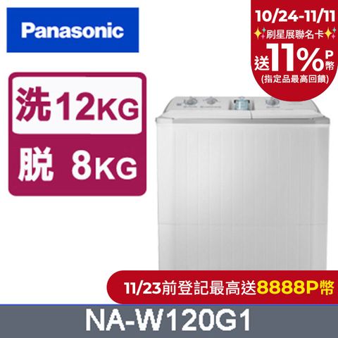 Panasonic 國際牌 雙槽12公斤洗衣機 NA-W120G1