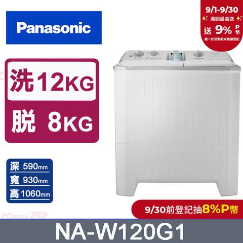 Panasonic國際牌 雙槽12公斤洗衣機 NA-W120G1