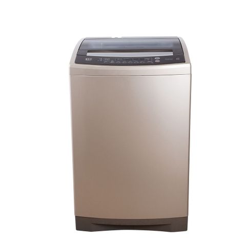 Whirlpool惠而浦 13公斤 DD直驅變頻直立洗衣機 WV13DG