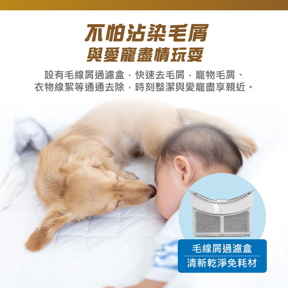 不怕沾染毛屑與愛盡情玩耍設有毛線屑過濾盒,快速去毛屑,寵物毛屑、衣物線絮等通通去除,時刻整潔與愛寵盡享親近。毛線屑過濾盒清新乾淨免耗材