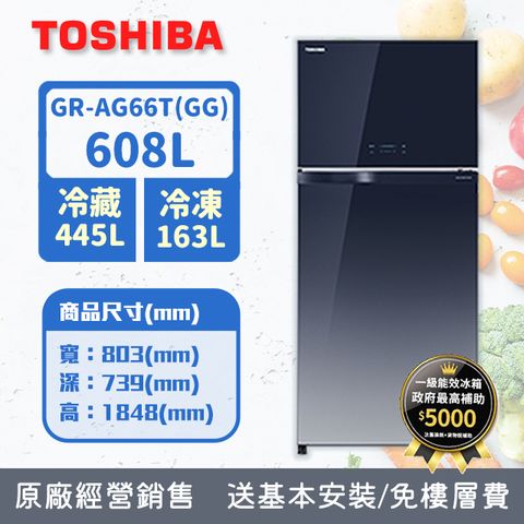 TOSHIBA東芝 608L 1級能效 變頻雙門冰箱 漸層藍 GR-AG66T(GG)(含基本安裝+舊機回收)