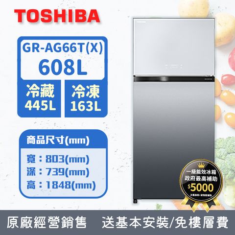 TOSHIBA東芝 608L 1級能效變頻雙門 抗菌鮮凍鏡面冰箱極光 GR-AG66T(X) (含基本安裝+舊機回收)