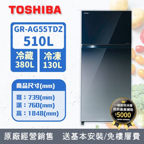 TOSHIBA東芝 510公升雙門變頻電冰箱 漸層藍 GR-AG55TDZ(GG)(含基本安裝+舊機回收)