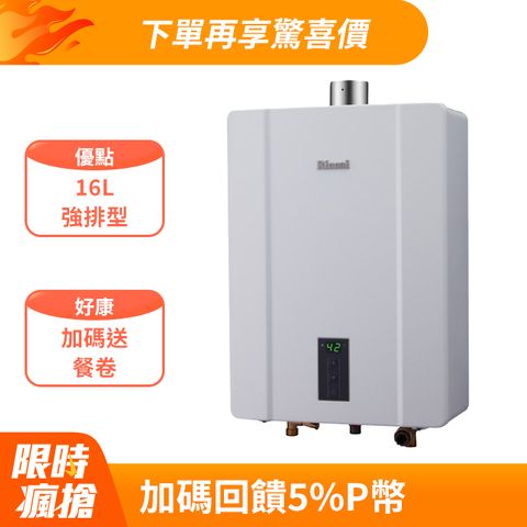 Rinnai 林內 16L《屋內型FE式》熱水器RUA-C1600WF(NG1) 全台配送+基本安裝 原廠保固