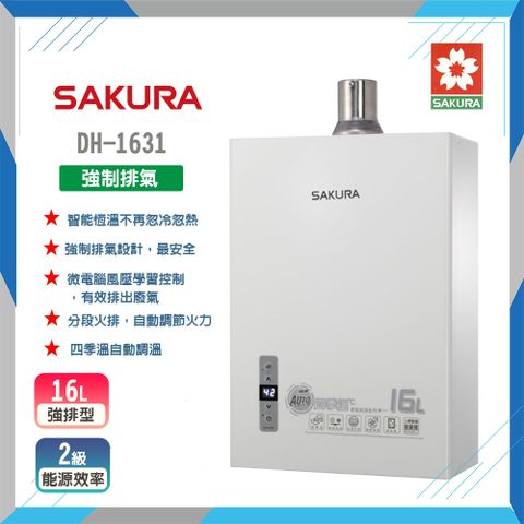 【櫻花SAKURA】16L四季溫智能恆溫熱水器DH1631F(NG2/FE式)