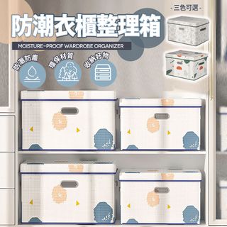 【樂邦】圖案掀蓋式收納箱-大款(整理箱 置物箱 衣物 衣櫥)