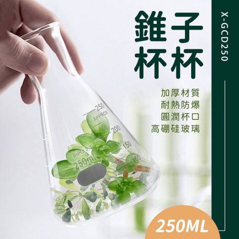 錐子杯杯 北歐花瓶 飲料容器 造型玻璃杯 植物玻璃瓶 冷飲杯 量瓶 高硼硅玻璃杯 燒杯酒 630-GCD250