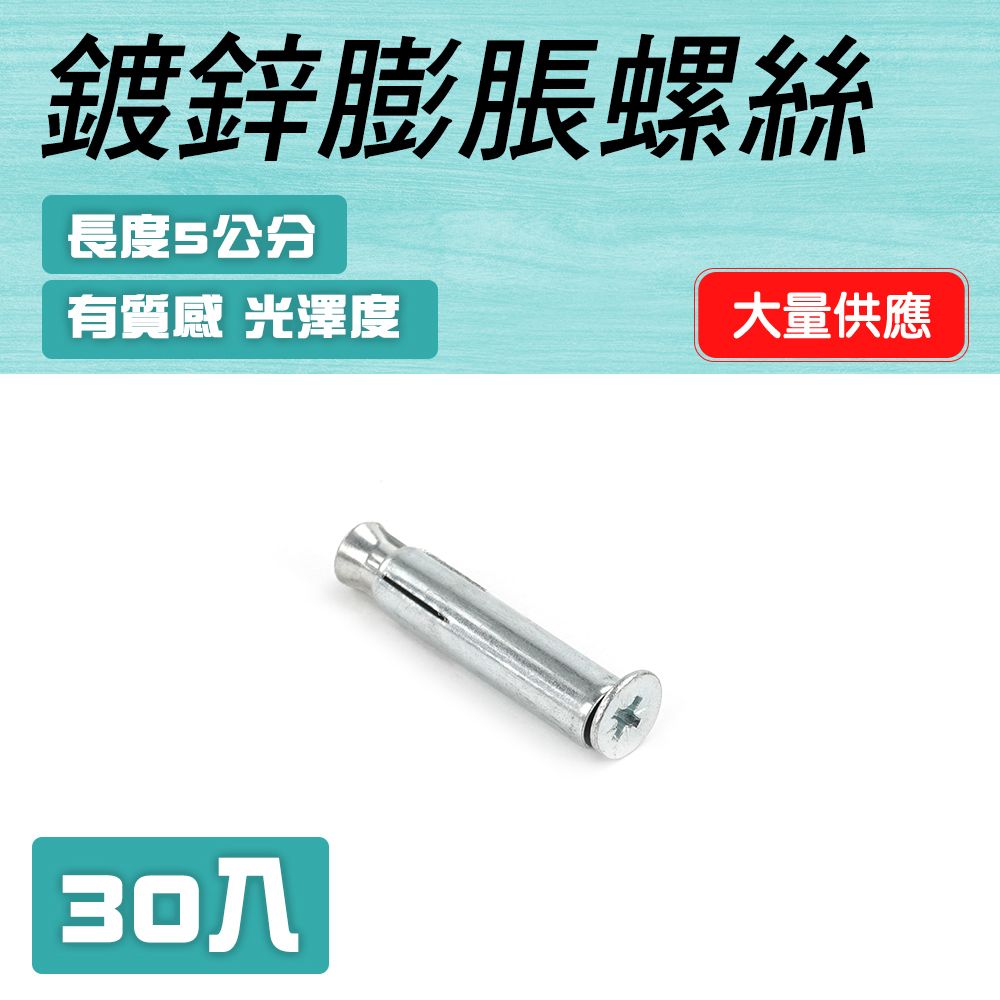  膨脹螺栓 膨脹螺絲 鍍鋅螺絲 爆炸螺絲 內迫壁虎 快速釘 自攻螺絲 多種規格 5cm 30入 (190-SUSS5)