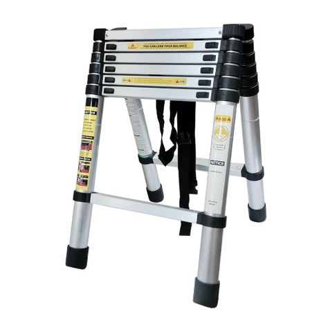 WinWin 輕巧款伸縮梯2米 YP-TD-14