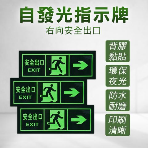 夜光疏散標誌 2入 疏散標識牌 右側逃生 無需電源 地震逃生方向 逃生指示燈 停電逃生方向 B-PSE31