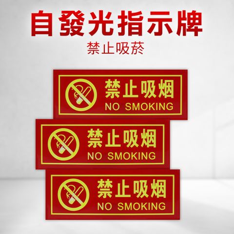 自發光指示牌 禁止吸菸 2入 告示貼紙 禁菸標誌 130-PNS30 指示牌 禁煙標誌 標示貼紙 警告標語貼紙
