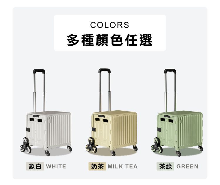 COLORS多種顏色任選象白 奶茶 MILK TEA茶綠