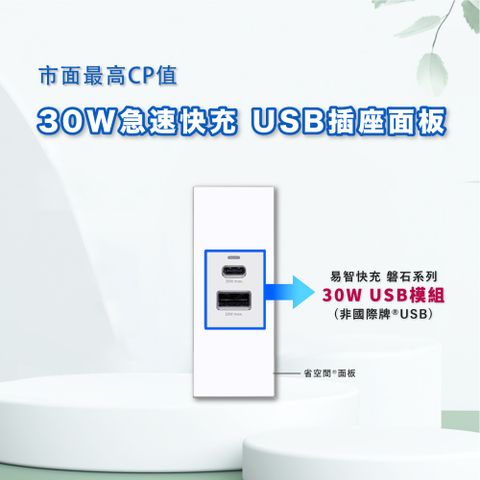 EZ CHARGER 易智快充 國際牌 Panasonic 省空間白色面板-磐石30W USB(A+C)