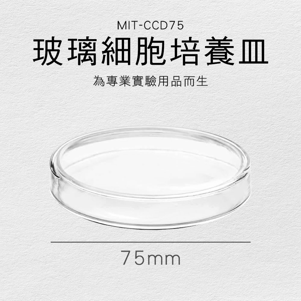  【職人實驗】185-CCD75 玻璃細胞培養皿75mm 玻璃水槽 實驗器材 藻類觀察皿 實驗器皿 玻璃耐熱培養皿