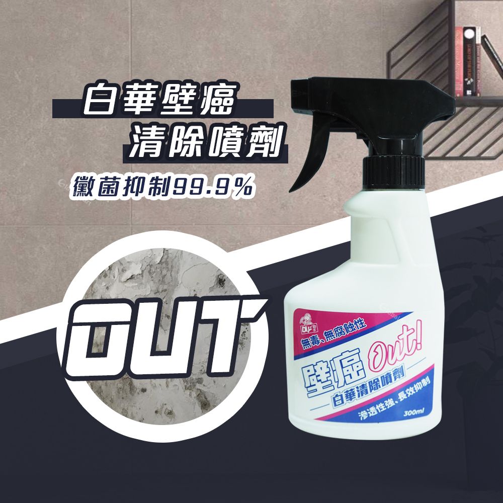 FINESIL 壁癌OUT 一噴清壁癌-白華清除噴劑300ml