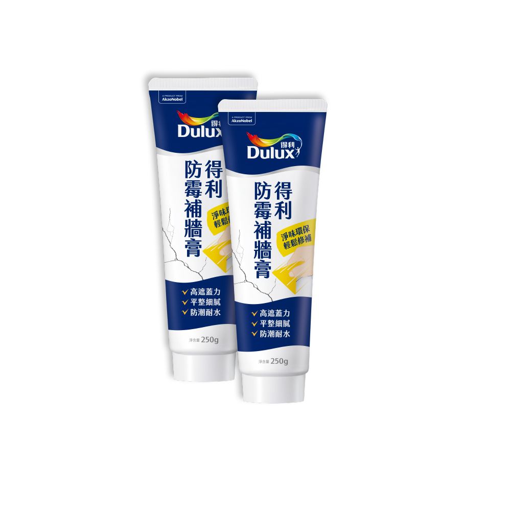 Dulux 得利塗料 A888 防霉抗菌補牆膏 2入組裝