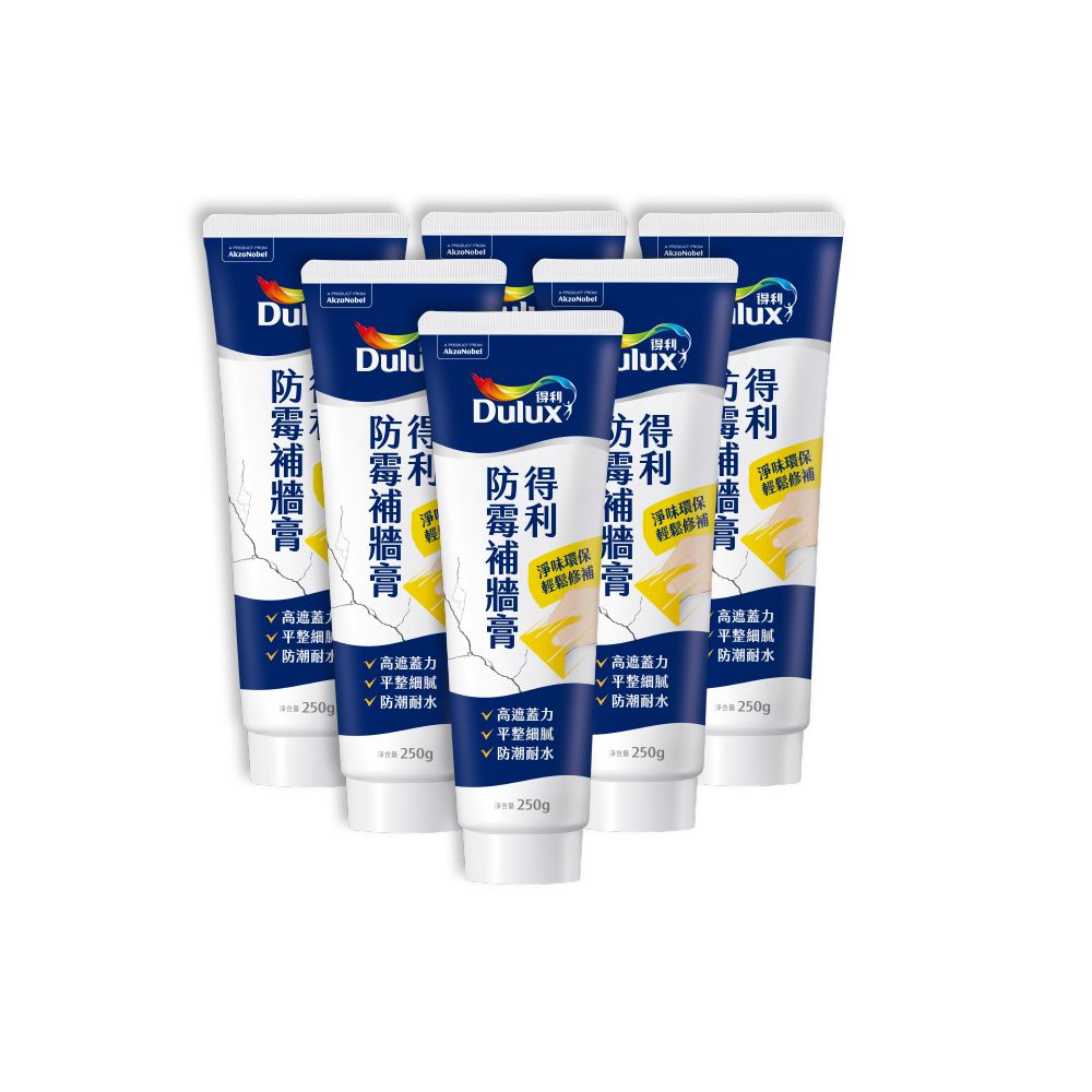 Dulux 得利塗料 A888 防霉抗菌補牆膏 6入組裝