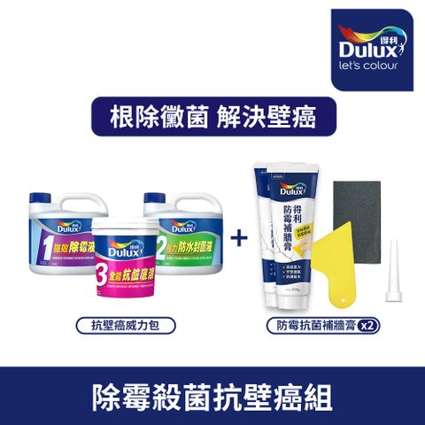 Dulux 得利塗料 A931K壁癌包+A888補牆膏2組 裂縫修補