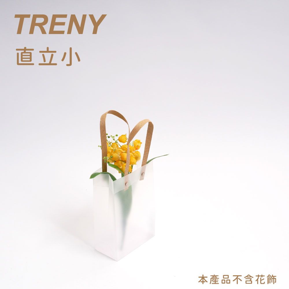 TRENY  透明磨砂禮物手提袋5入-直立小