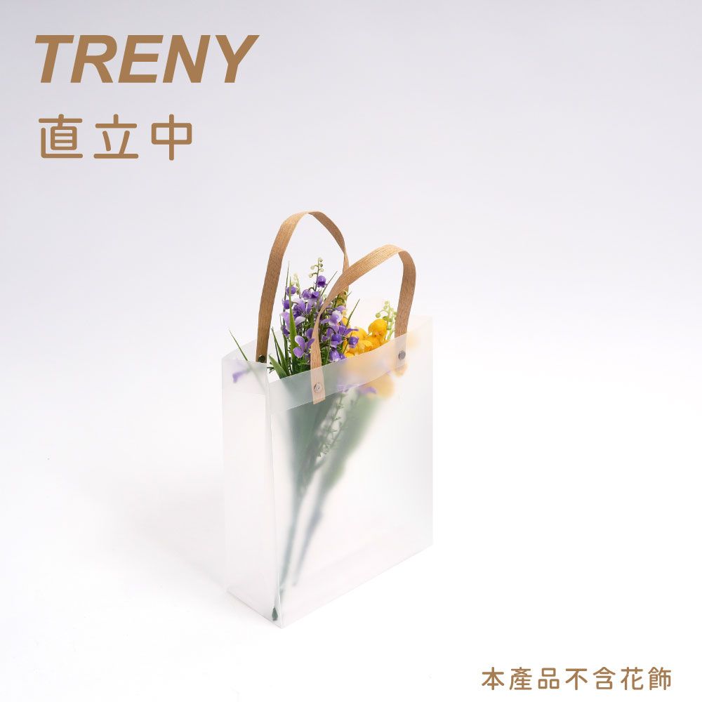 TRENY  透明磨砂禮物手提袋5入-直立中