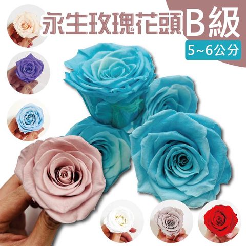 5入一組 永生玫瑰花 B級品不凋花玫瑰 5-6cm 永生花 乾燥花 浮游花 生日禮 聖誕節 情人節