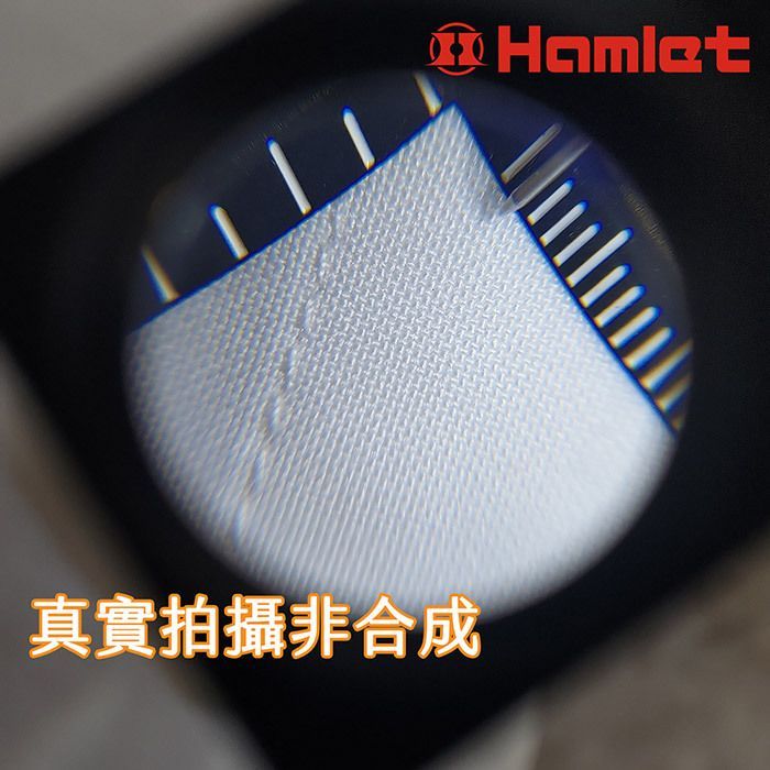 真實拍攝非合成Hamlet