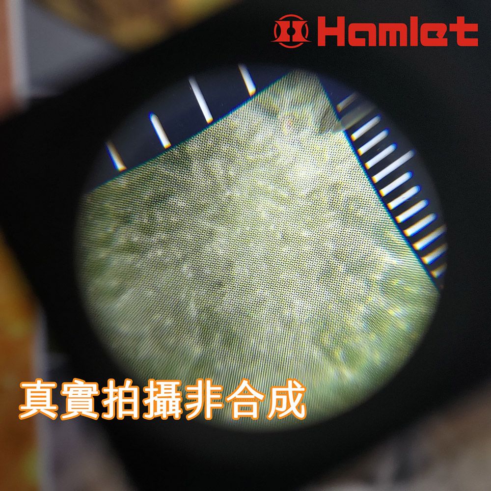 Hwatang 華堂光學 Hamlet 哈姆雷特 6x/19D/30mm LED鋁合金附指針防眩護眼看布鏡 N261B