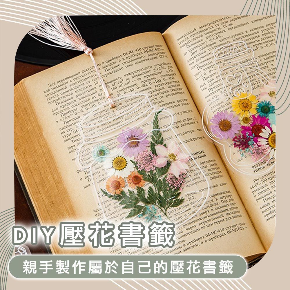 Time Leisure 品閒  森林系 DIY手作乾燥壓花透明書籤/附工具包 小白花