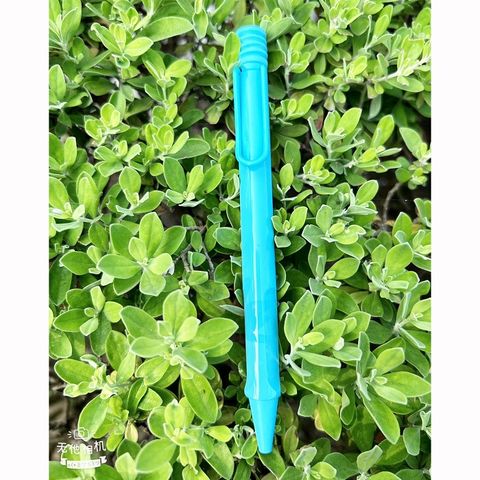 LAMY 2023 SAFARI special edition 原子筆 春日藍