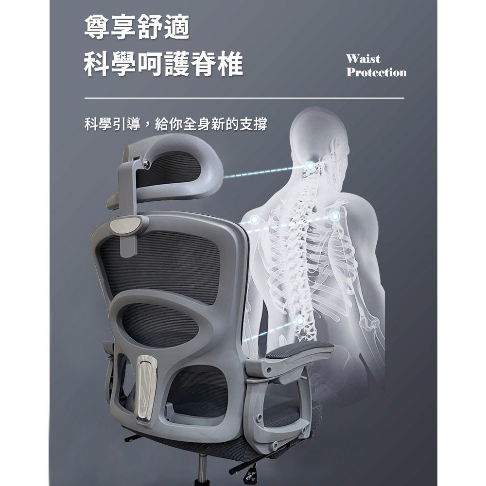 尊享舒適科學呵護脊椎科學引導,給你全身新的支撑WaistProtection