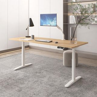 【升級款】Flexispot | 三節式磁吸式收納電動升降桌 120*60桌組