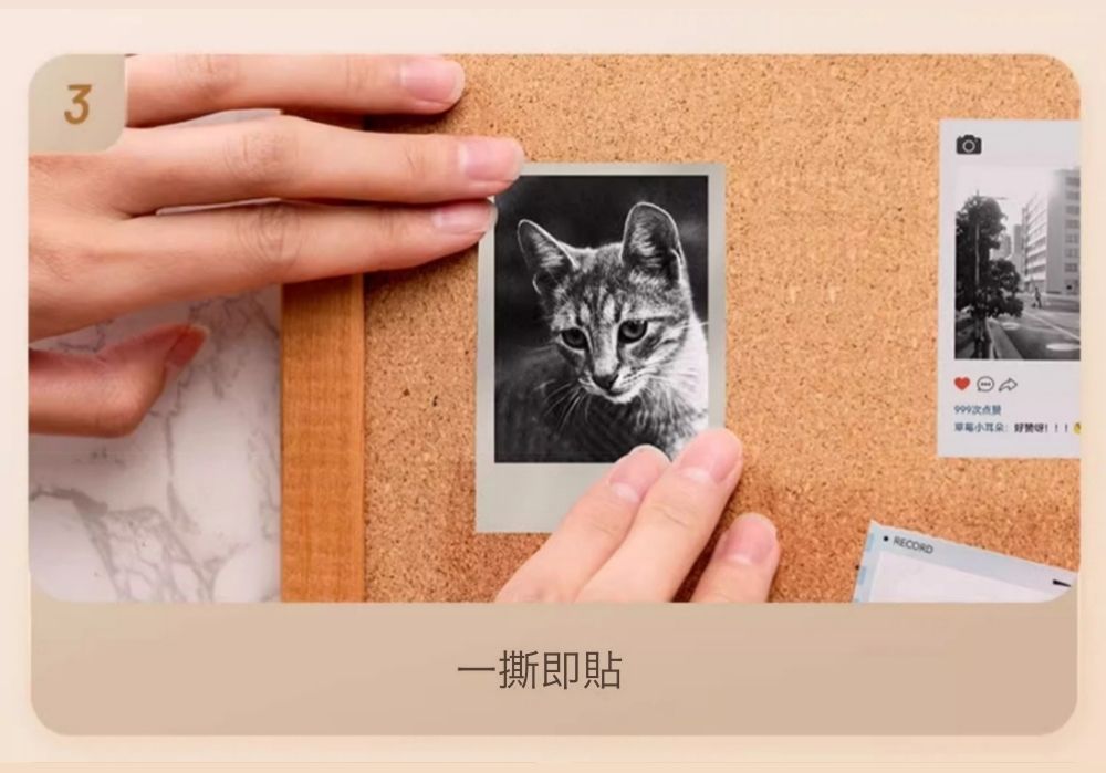 3一撕即貼RECORD次点