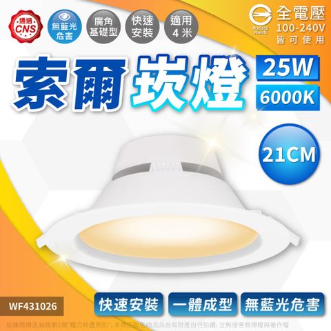 DanceLight 舞光 (2入)LED-21DOP25 25W 白光/自然光/黃光 全電壓 21cm 索爾崁燈